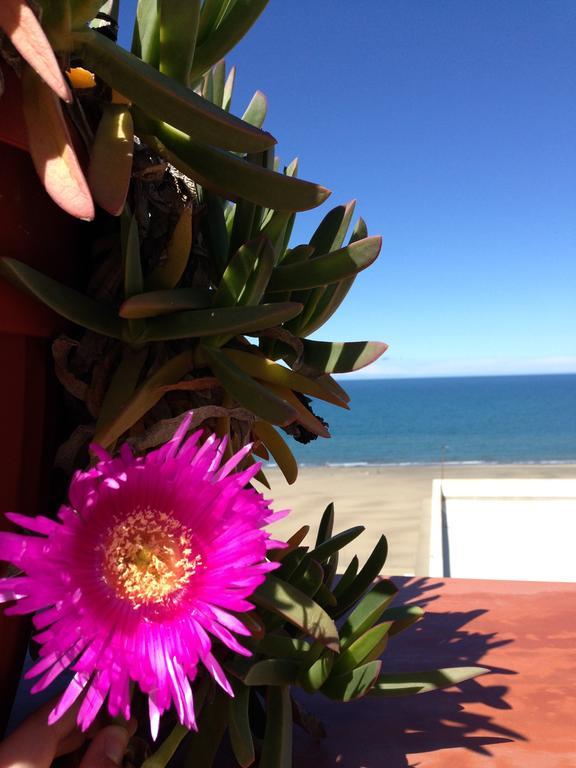 Little Paradise Casa Vacanze Margherita Di Savoia Zewnętrze zdjęcie